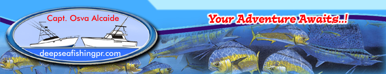 Deep Sea Fishing in Fajardo